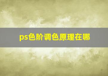 ps色阶调色原理在哪