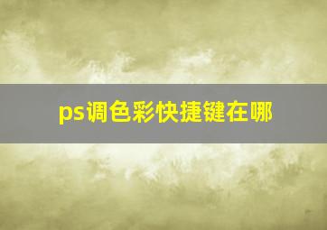 ps调色彩快捷键在哪