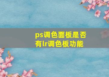 ps调色面板是否有lr调色板功能