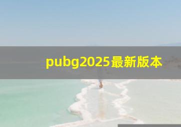 pubg2025最新版本