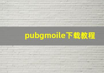 pubgmoile下载教程