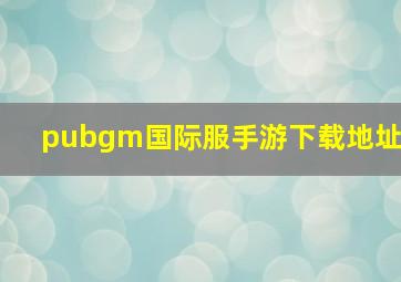 pubgm国际服手游下载地址