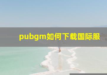 pubgm如何下载国际服