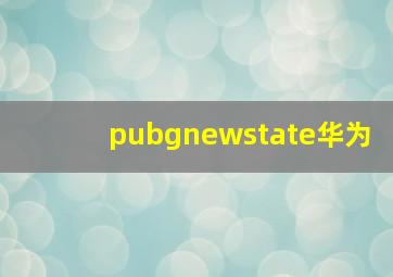 pubgnewstate华为