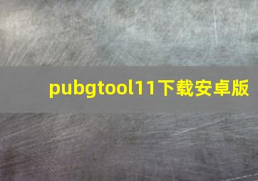 pubgtool11下载安卓版