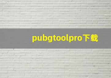 pubgtoolpro下载