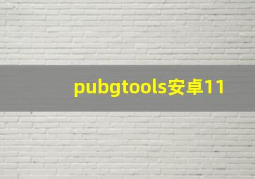 pubgtools安卓11