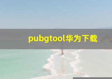 pubgtool华为下载