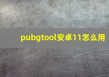 pubgtool安卓11怎么用