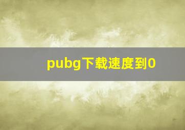 pubg下载速度到0