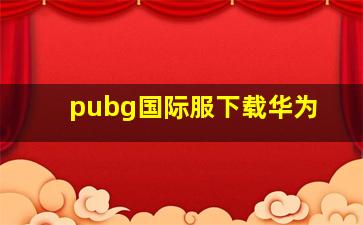 pubg国际服下载华为