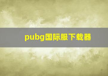 pubg国际服下载器