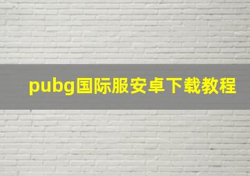 pubg国际服安卓下载教程