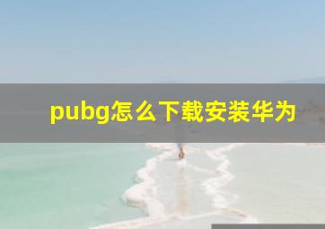 pubg怎么下载安装华为