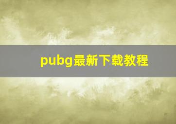 pubg最新下载教程