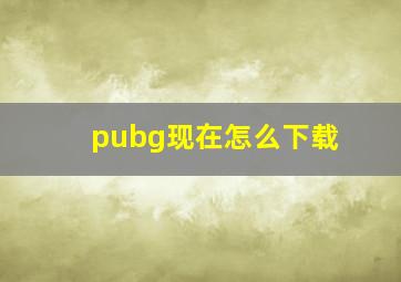 pubg现在怎么下载