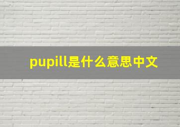 pupill是什么意思中文