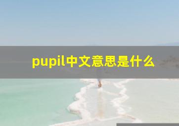 pupil中文意思是什么