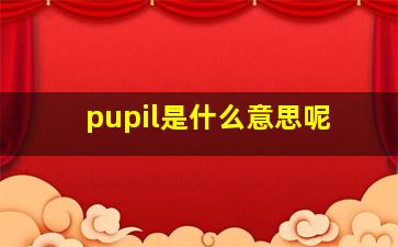 pupil是什么意思呢