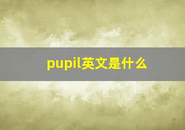 pupil英文是什么