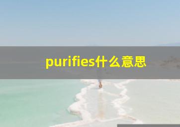 purifies什么意思