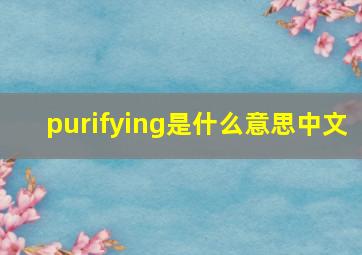 purifying是什么意思中文