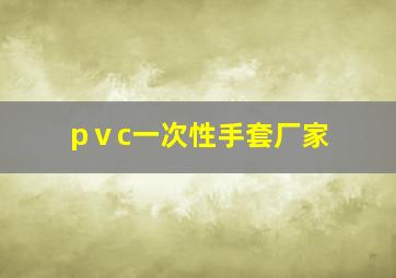 pⅴc一次性手套厂家