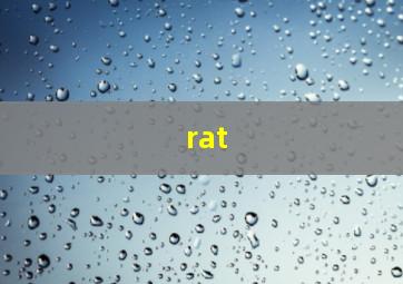 rat