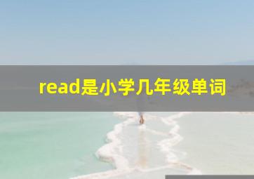 read是小学几年级单词