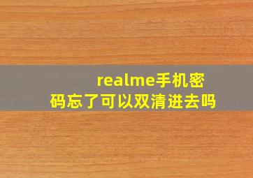 realme手机密码忘了可以双清进去吗