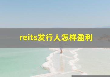 reits发行人怎样盈利