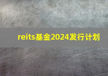 reits基金2024发行计划