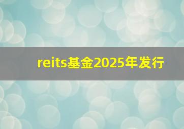 reits基金2025年发行