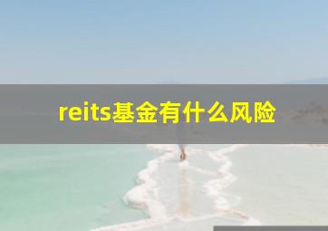 reits基金有什么风险