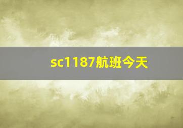 sc1187航班今天