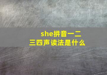 she拼音一二三四声读法是什么