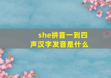 she拼音一到四声汉字发音是什么