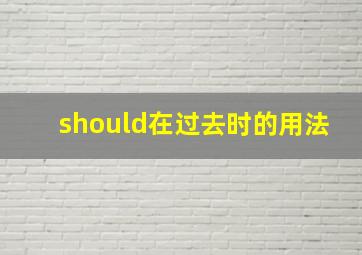 should在过去时的用法