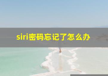 siri密码忘记了怎么办