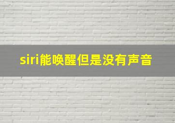 siri能唤醒但是没有声音