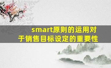 smart原则的运用对于销售目标设定的重要性