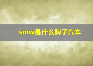 smw是什么牌子汽车