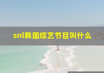 snl韩国综艺节目叫什么