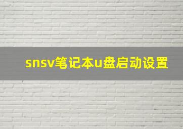 snsv笔记本u盘启动设置