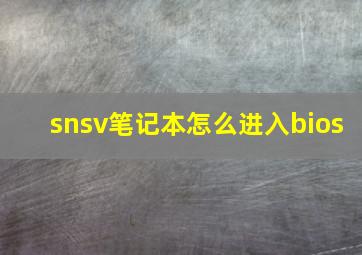 snsv笔记本怎么进入bios