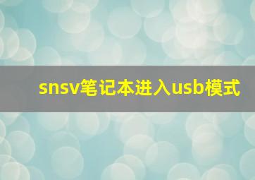 snsv笔记本进入usb模式