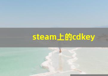 steam上的cdkey