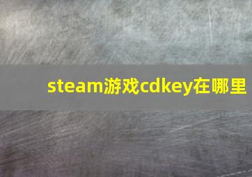 steam游戏cdkey在哪里