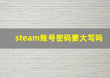 steam账号密码要大写吗