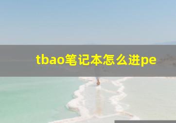 tbao笔记本怎么进pe